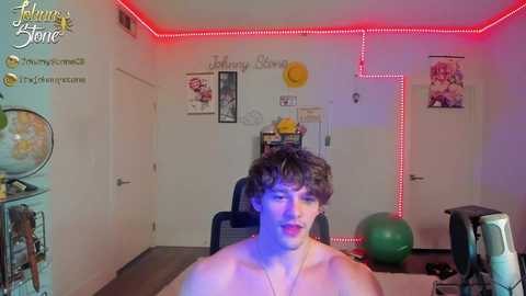 thejohnnystone