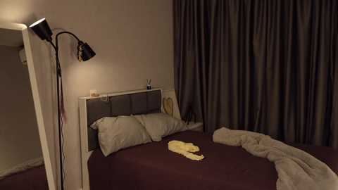 blissence @ chaturbate on 20250830