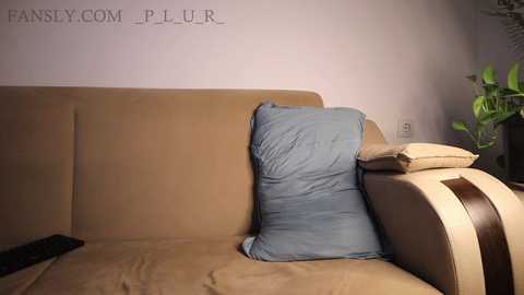 _p_l_u_r_