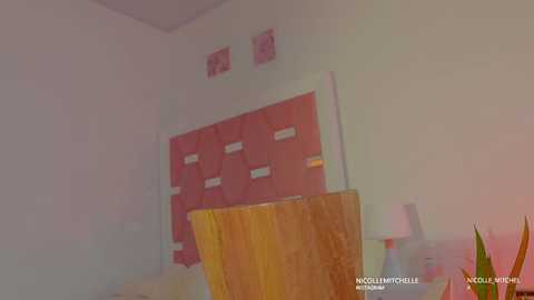 nicolle_mitchelle