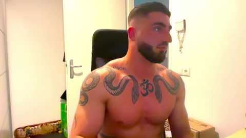bigsnakeman1995 @ chaturbate on 20250903