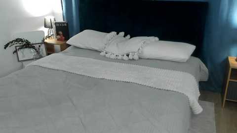 velvydream @ chaturbate on 20250904