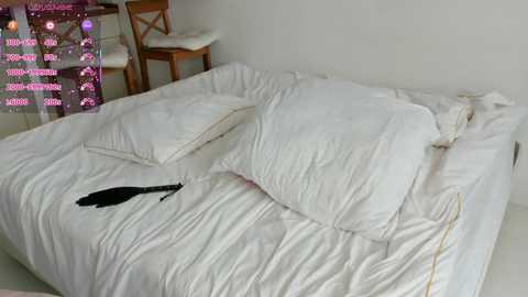 lili_and_niki @ chaturbate on 20250908