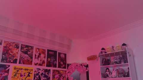 wangxi__