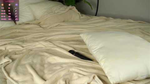 aameow @ chaturbate on 20250910