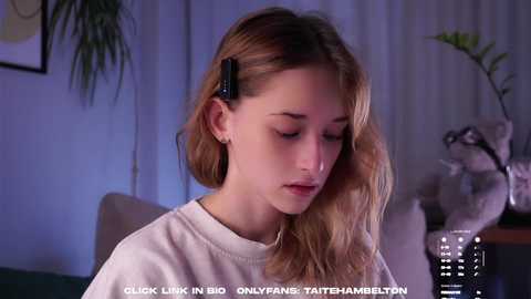 taitehambelton