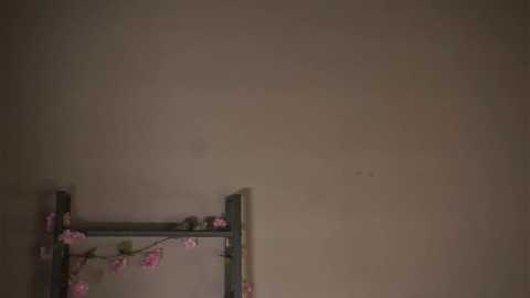 mathildaballestero @ chaturbate on 20250913