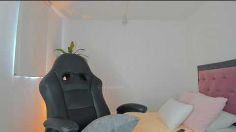 allysnow @ chaturbate on 20250916