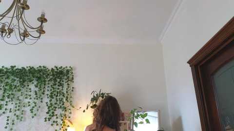 eli_sun