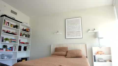 surecakes @ chaturbate on 20250916