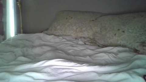 public_masterbation_lover