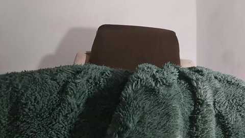 alotofcream @ chaturbate on 20250919