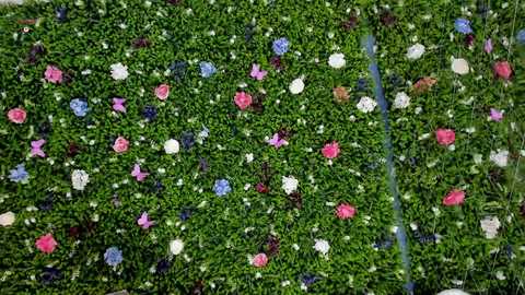 babyaylin @ chaturbate on 20250919