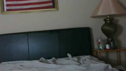 pussy_kat1985 @ chaturbate on 20250919