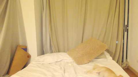 kendalltyler @ chaturbate on 20250920