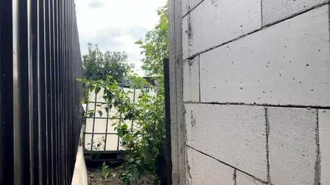 nyconik @ chaturbate on 20250920