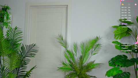 sweet__piece @ chaturbate on 20250920