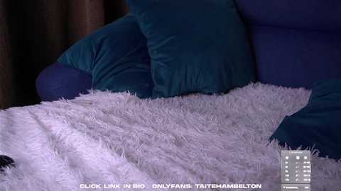 taitehambelton @ chaturbate on 20250920