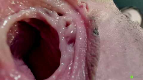 courtney_luv @ chaturbate on 20250921