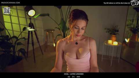 provocatrixx