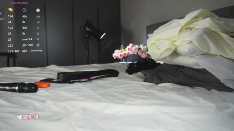 sonisins @ chaturbate on 20250921