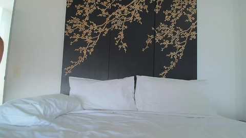 avabrooks @ chaturbate on 20250922