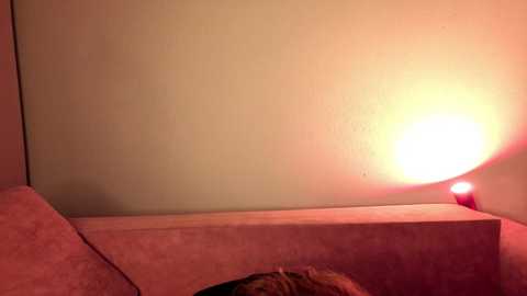 ceceliapidcock @ chaturbate on 20250922