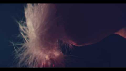 taanni_bc @ chaturbate on 20250923