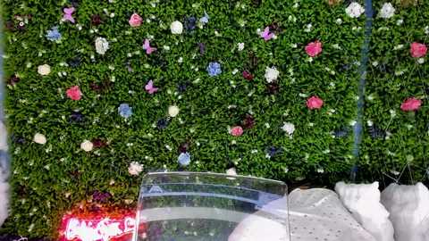 babyaylin @ chaturbate on 20250924