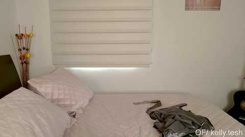 kellytesh @ chaturbate on 20250924