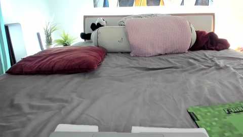 mis_eva @ chaturbate on 20250927