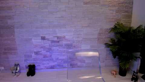 angelinsin @ chaturbate on 20250928