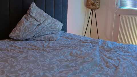 lena___ @ chaturbate on 20250928