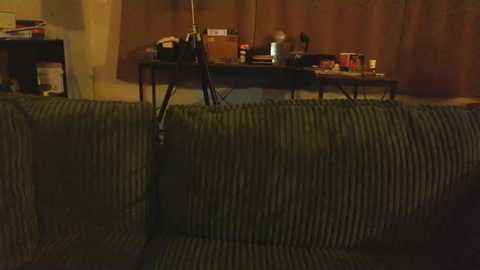 shinyandused @ chaturbate on 20250928