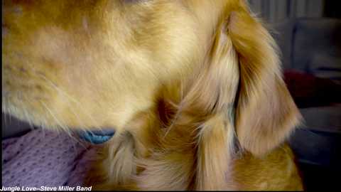 x_lily_x @ chaturbate on 20250928