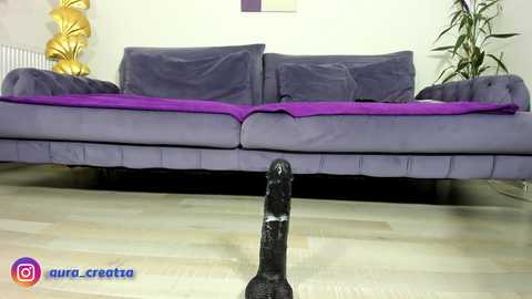 amalianilsson @ chaturbate on 20250929