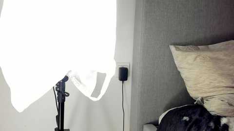 rachel_rey @ chaturbate on 20250929