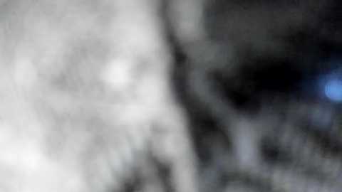 sexual_addiction @ chaturbate on 20250929