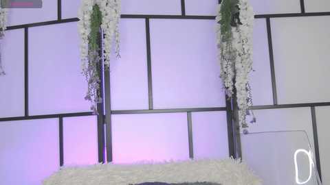 xenomy @ chaturbate on 20250929