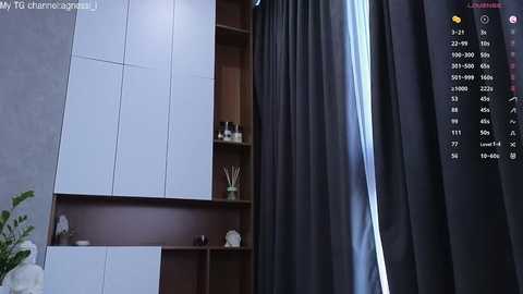 agnessi_ @ chaturbate on 20250930