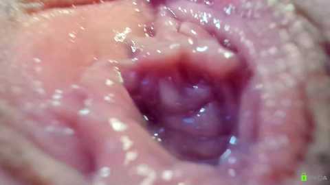 courtney_luv @ chaturbate on 20250930