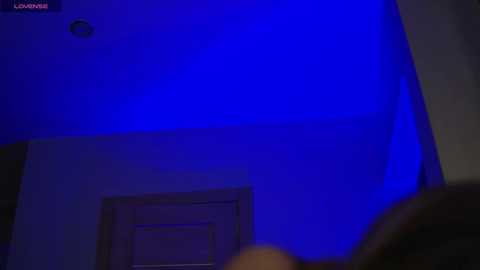 plump_bums @ chaturbate on 20250930