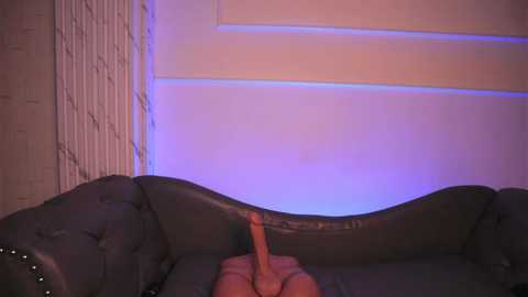 sara_albrecht @ chaturbate on 20250930