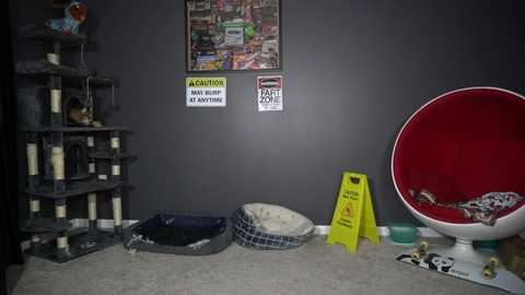 sydaffect @ chaturbate on 20250930