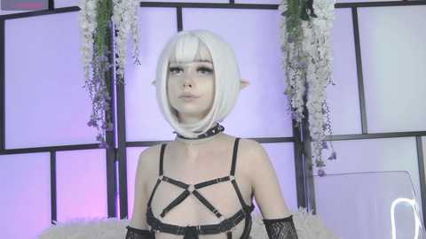 xenomy @ chaturbate on 20250930