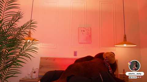 bella__donne @ chaturbate on 20251001