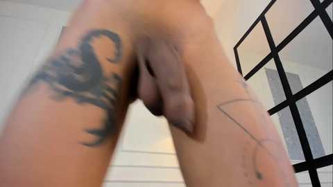 lucian_davi @ chaturbate on 20251001