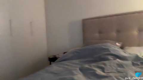 ava_delightt @ chaturbate on 20251002