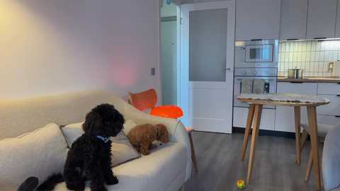 kristyspiritedaway @ chaturbate on 20251002