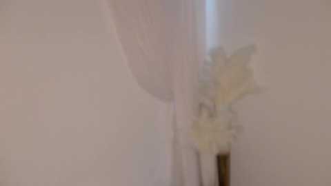 lilbeccaxo @ chaturbate on 20251002